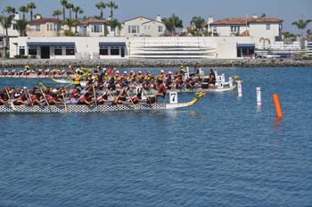 DSC_0411_28229.jpg