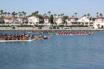 IMG_8173.jpg