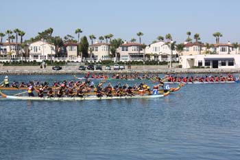 IMG_8174.jpg
