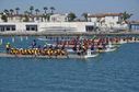 DSC_0348_28229.jpg