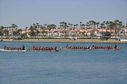 DSC_0388_28229.jpg