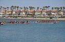 DSC_0390_28229.jpg