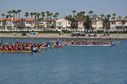 DSC_0391_28229.jpg