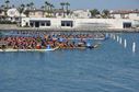 DSC_0396_28229.jpg