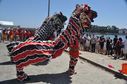 DSC_0561.jpg