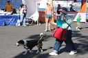 IMG_7457.jpg