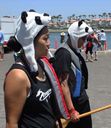 IMG_7912.jpg