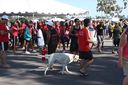IMG_8233.jpg