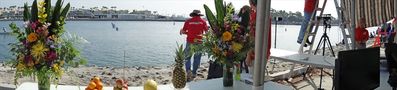 DSC02937.JPG