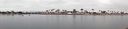DSC02954.JPG