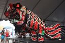 DSC_0485.JPG