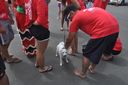 DSC_0660.JPG