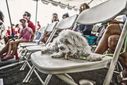 _MG_1093-Edit.jpg