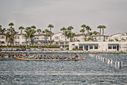 _MG_1719-Edit.jpg