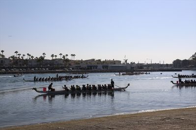 7G8A8005.JPG