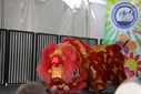 7G8A0321.JPG