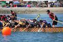 Filename=7G8A9857.JPG
Filesize=238KiB
Dimensions=1024x683
Date added=Mar 09, 2025 7G8A9857.JPG