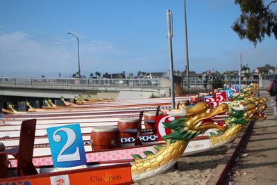 IMG_7429.JPG