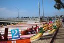 IMG_7429.JPG